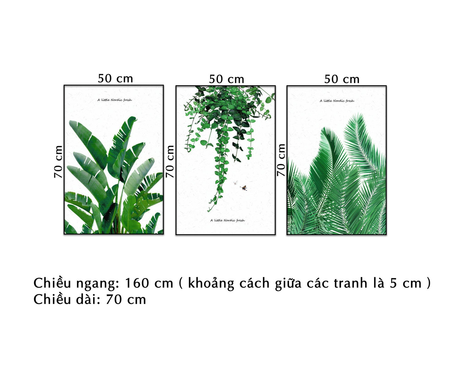 Bộ 3 Tranh Vẽ Lá Xanh - NT112