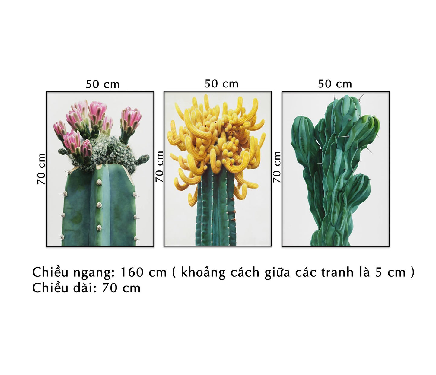 Bộ 3 Tranh Xương Rồng Nở Hoa - NT082