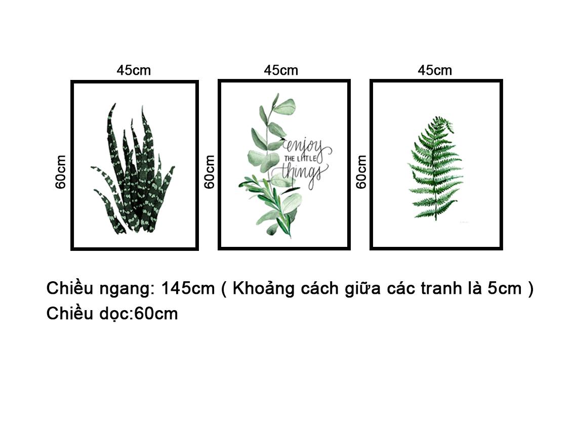 Bộ 3 Tranh Lá Đơn Giản - NT189