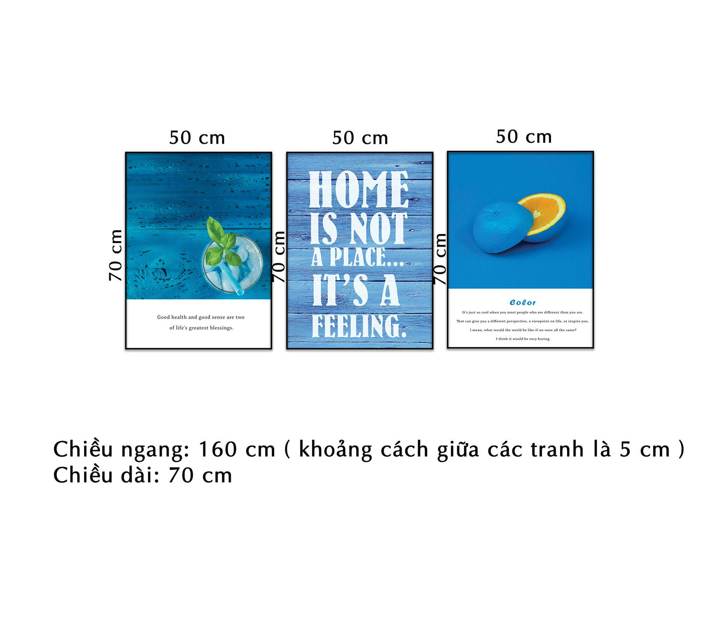 Bộ 3 Tranh Lá Cây, Quả Cam Và Quotes - NT131