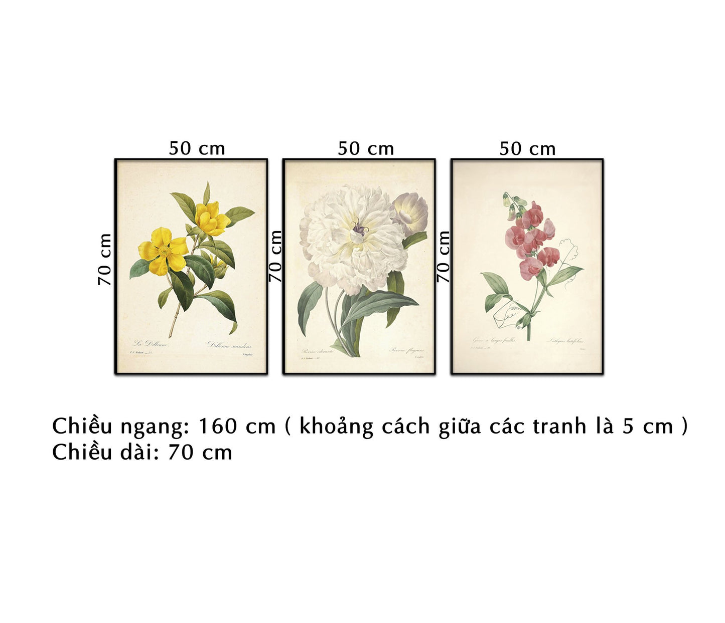 Bộ 3 Tranh Hoa Lá Nhẹ Nhàng - NT246