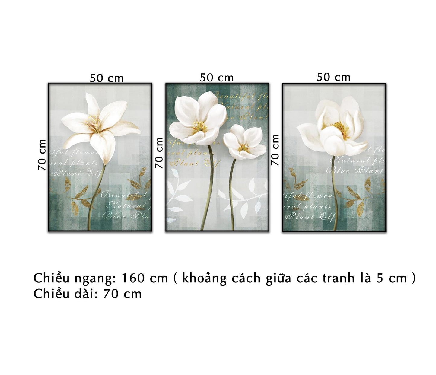 Bộ 3 Tranh Cánh Hoa Sắc Trắng Tinh Tế - NT308