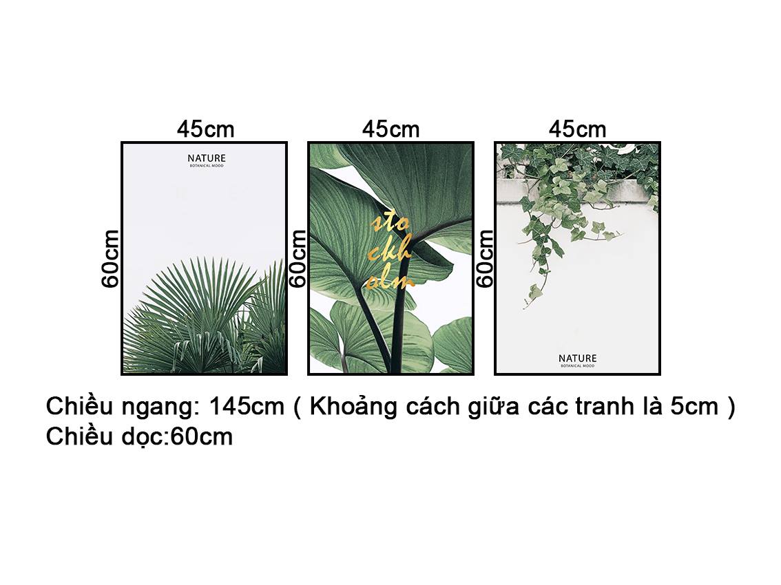 Bộ 3 Tranh Lá Cây Nhiệt Đới Tươi Mát - NT355