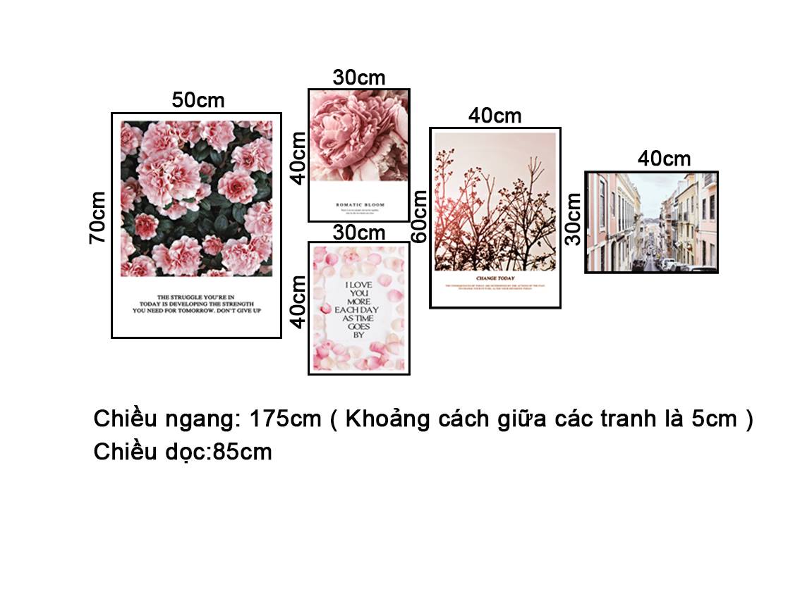 Bộ 5 Tranh Beautiful Roses - NT331