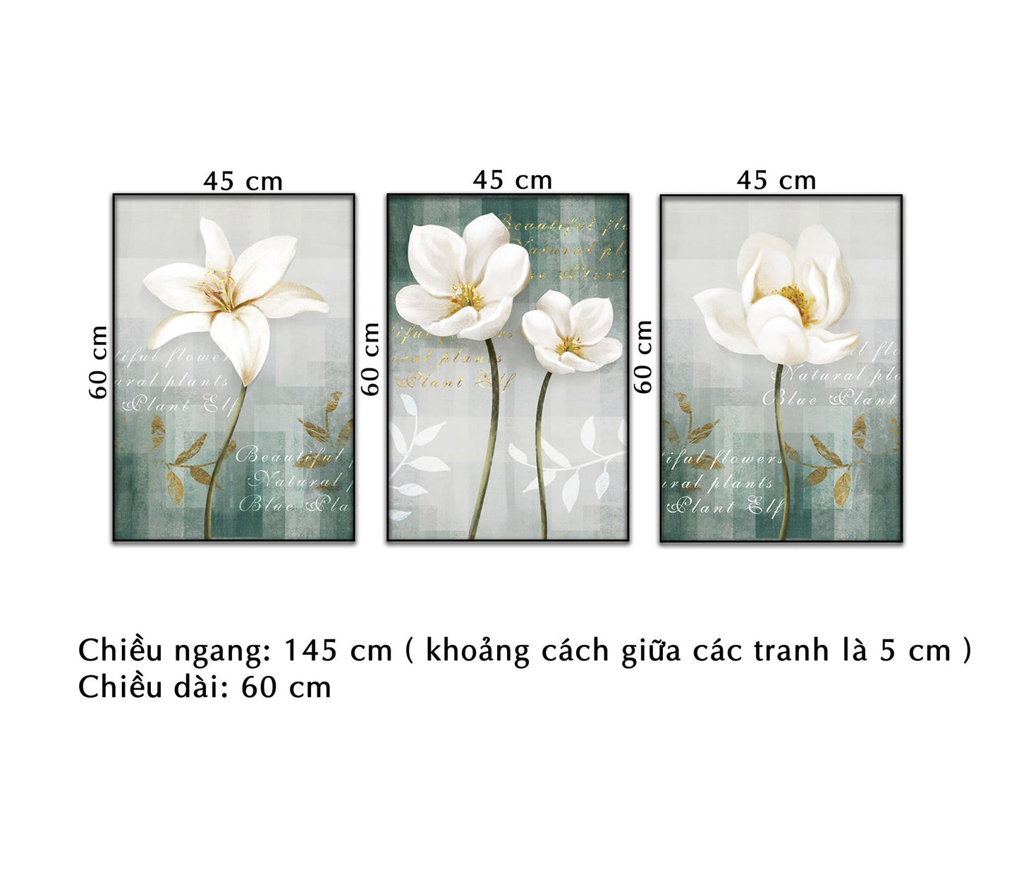 Bộ 3 Tranh Cánh Hoa Sắc Trắng Tinh Tế - NT308