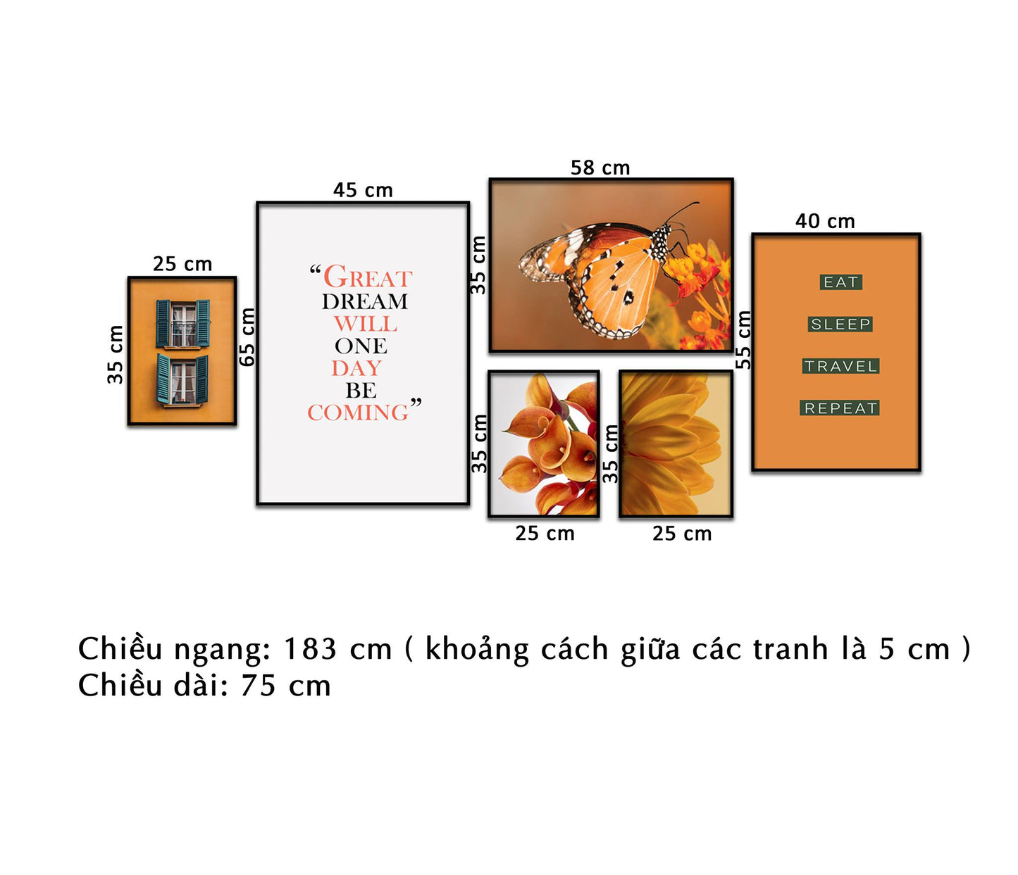 Bộ 6 Tranh Beautiful Butterfly On Flowers - NT260