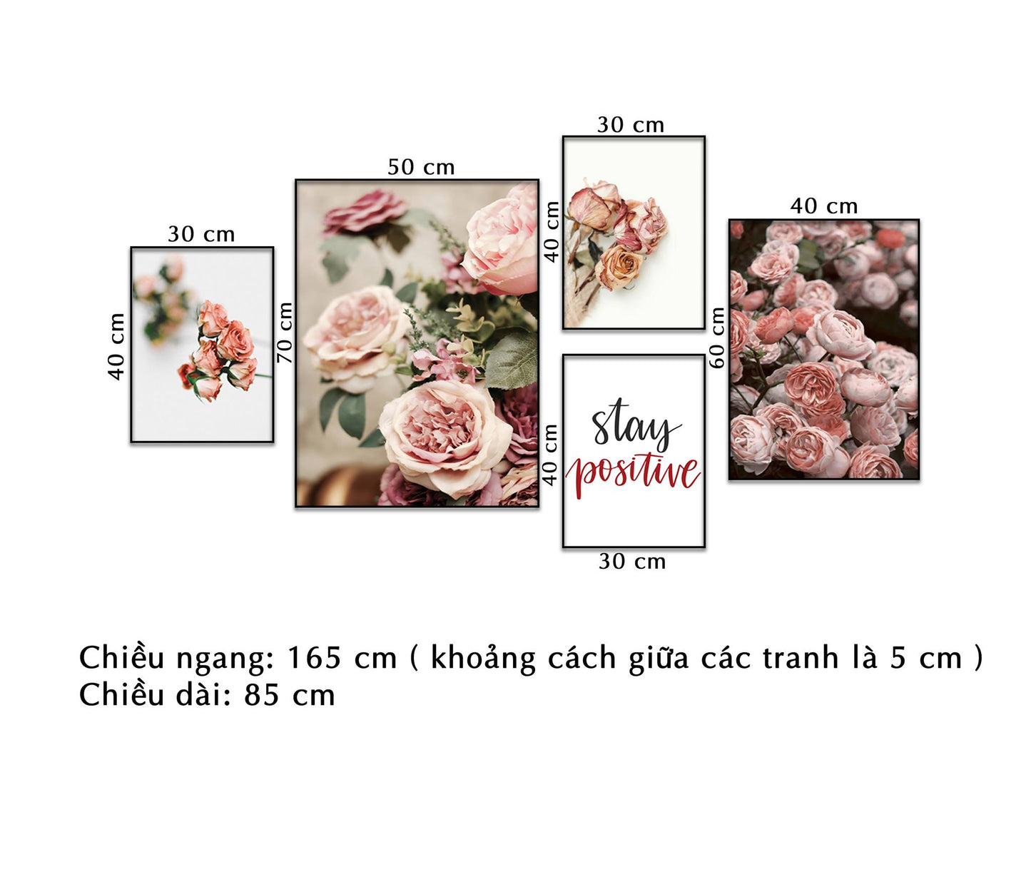 Bộ 5 Tranh Hoa Hồng Khoe Sắc - NT336