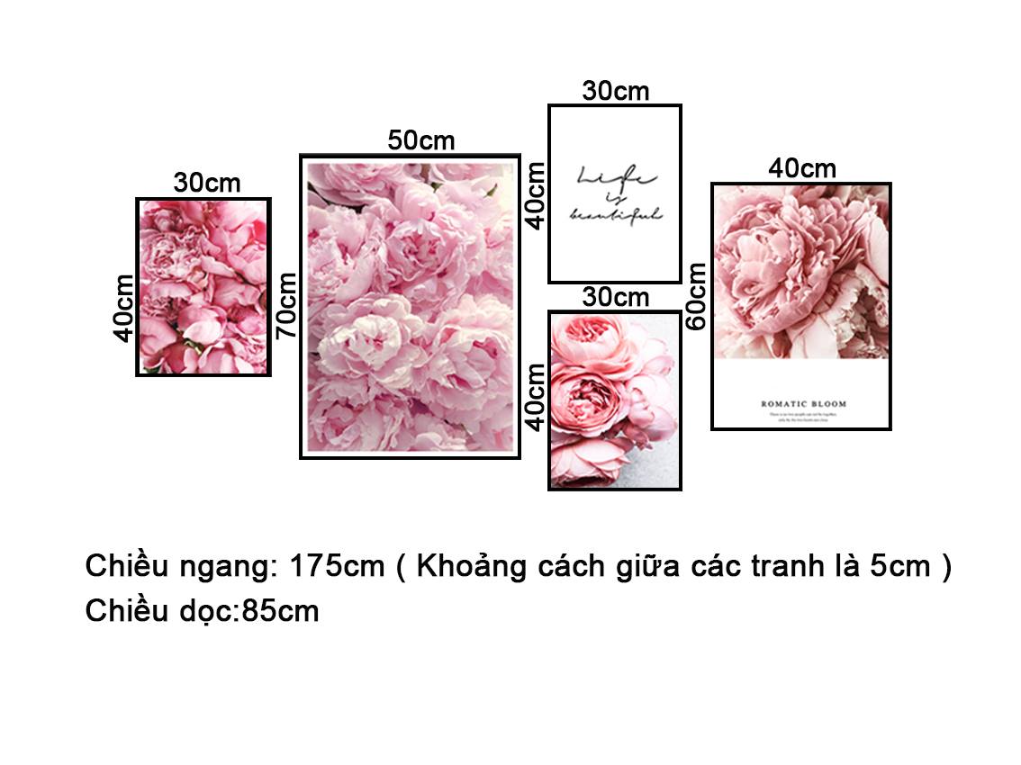 Bộ 5 Tranh Lovely Rose - NT296