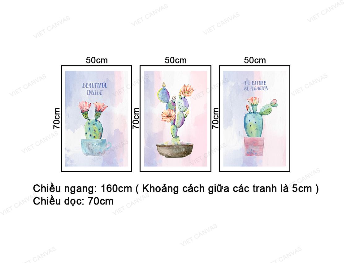 Bộ 3 Tranh Hoa Xương Rồng - NT413