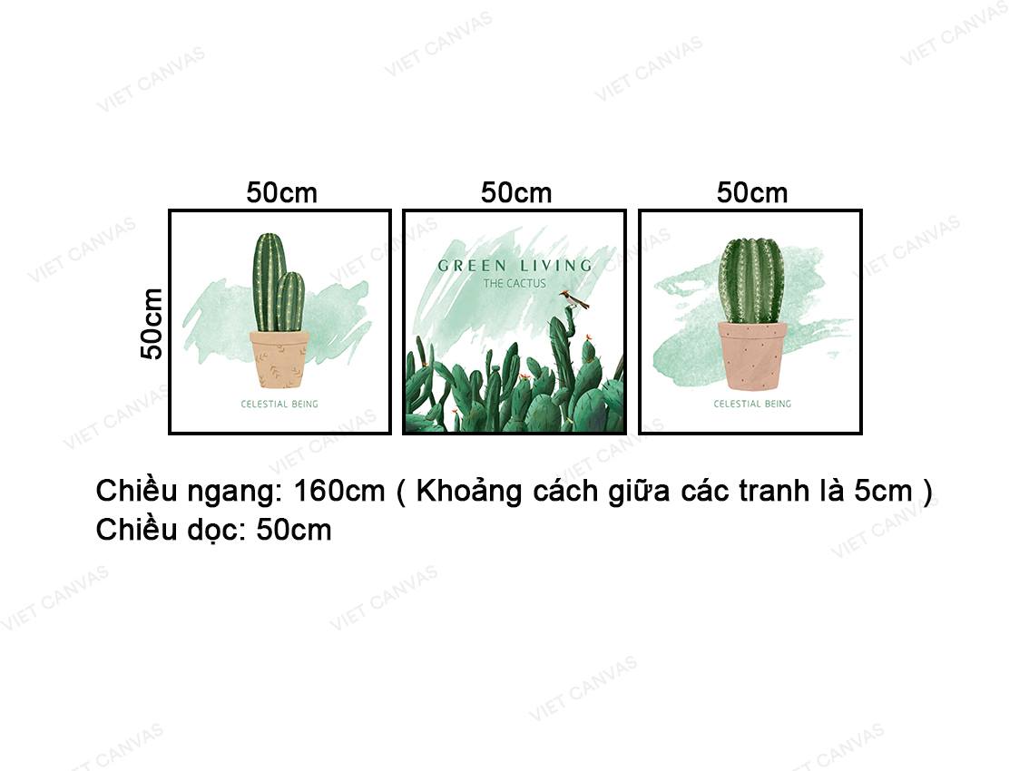 Bộ 3 Tranh Xương Rồng Xanh - NT428