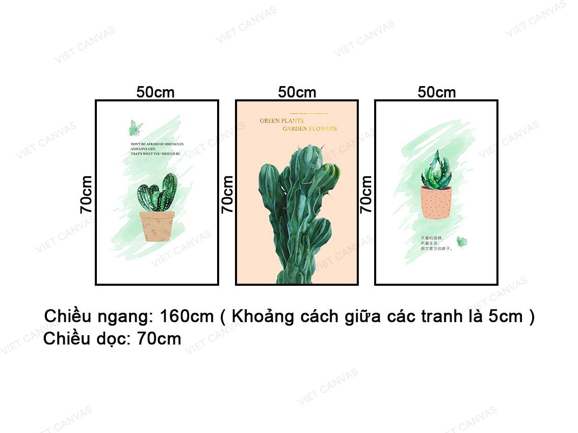 Bộ 3 Tranh Loài Xương Rồng - NT420