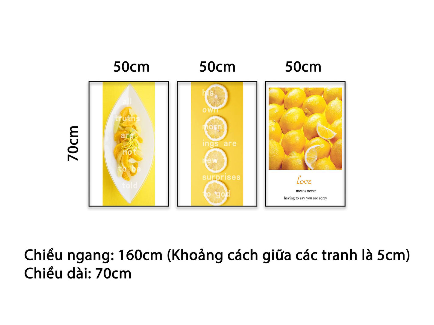 Bộ 3 Tranh Lát Chanh Tươi - NT460