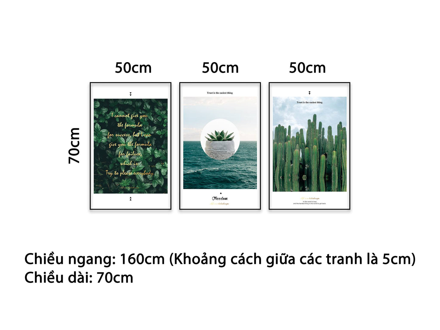 Bộ 3 Tranh Rừng Lá Xanh, Vườn Xương Rồng Và Biển Cả - NT464