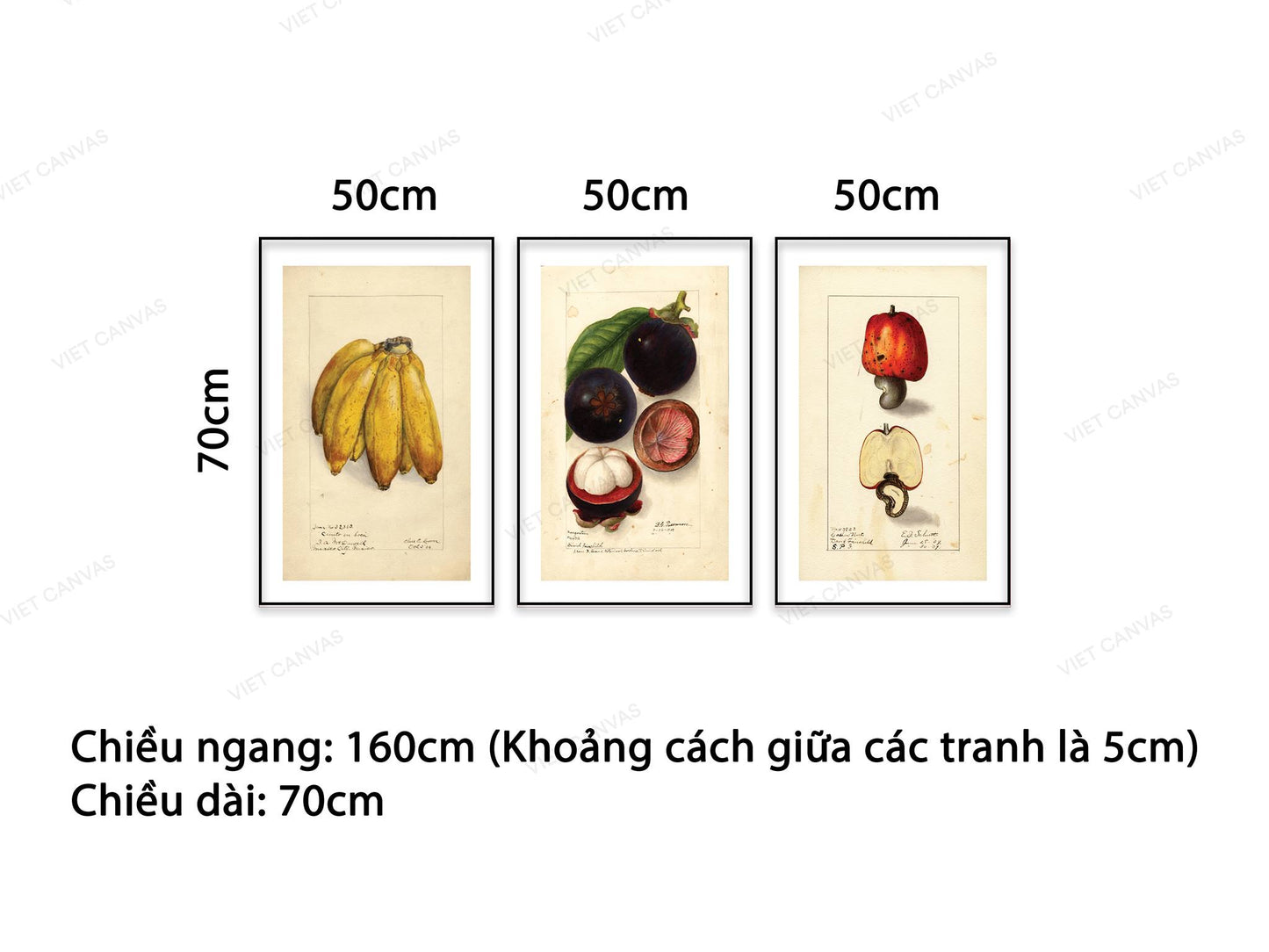 Bộ 3 Tranh Trái Cây Bốn Mùa - NT527