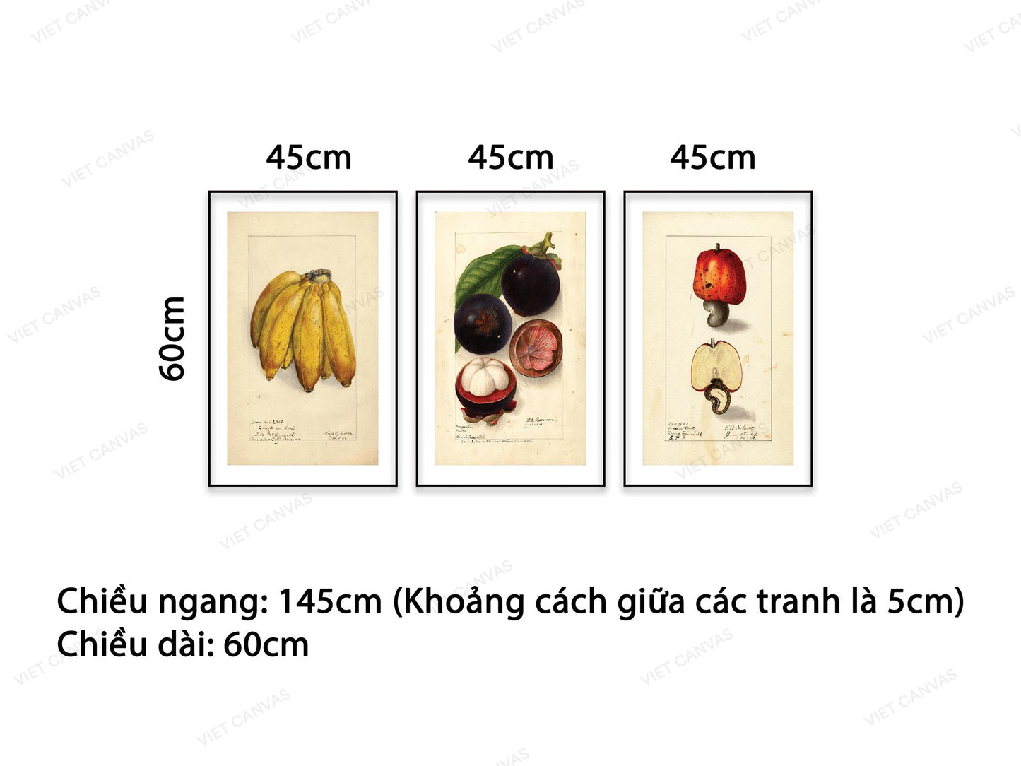 Bộ 3 Tranh Trái Cây Bốn Mùa - NT527