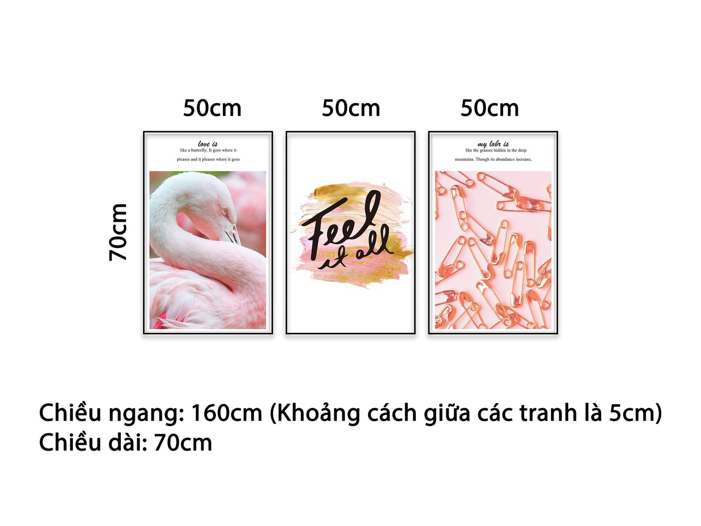 Bộ 3 Tranh Thiên Nga, Những Chiếc Ghim Và Quotes Feel It All - NT458