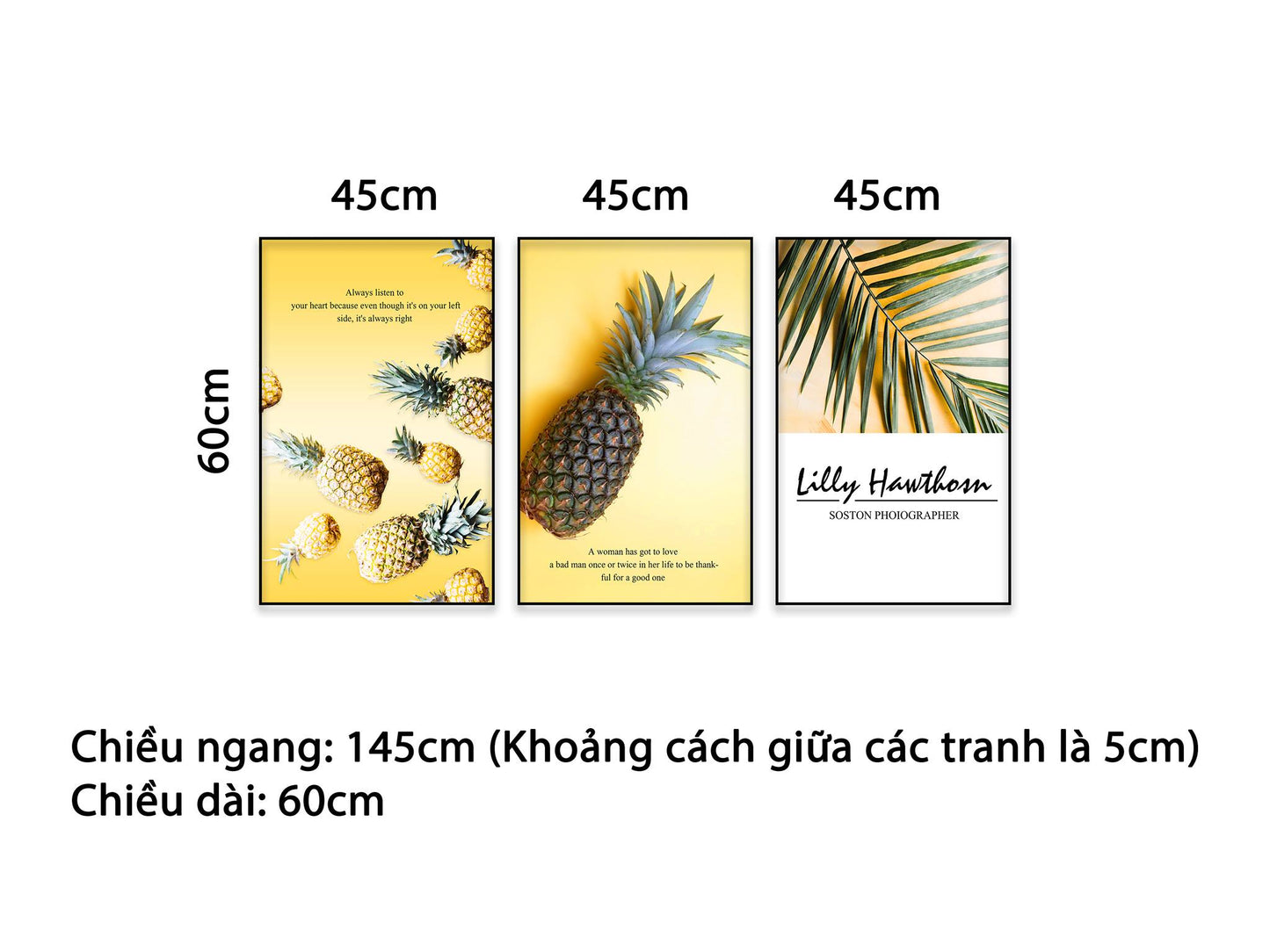 Bộ 3 Tranh Lá Cây Xanh Và Quả Dứa - NT459