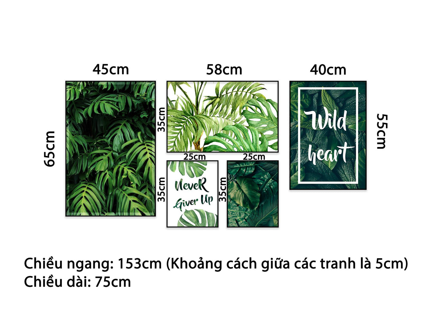 Bộ 5 Tranh Rừng Lá Cây Xanh - NT490