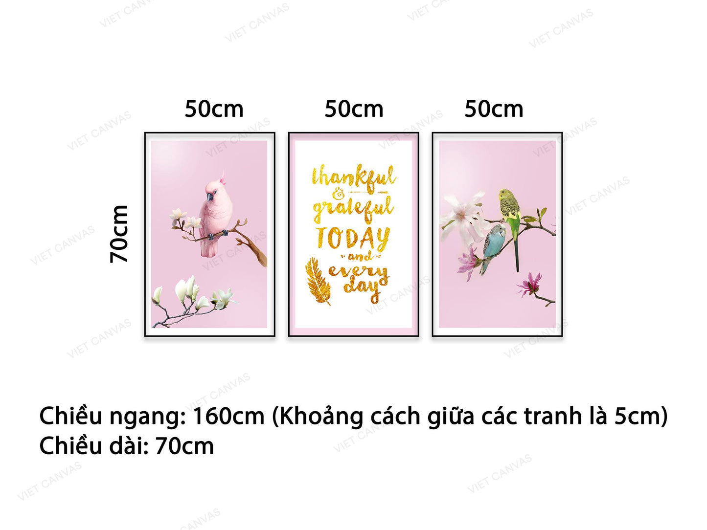 Bộ 3 Tranh Những Chú Vẹt Sắc Màu Và Quotes - NT512