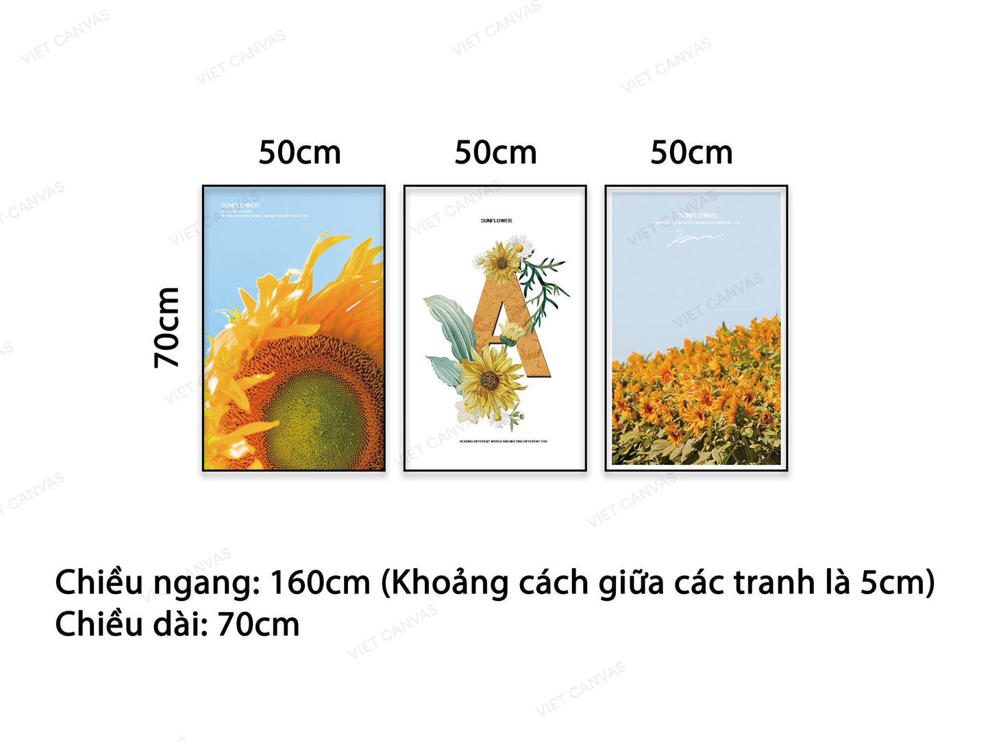Bộ 3 Tranh Vườn Hoa Hướng Dương - NT501
