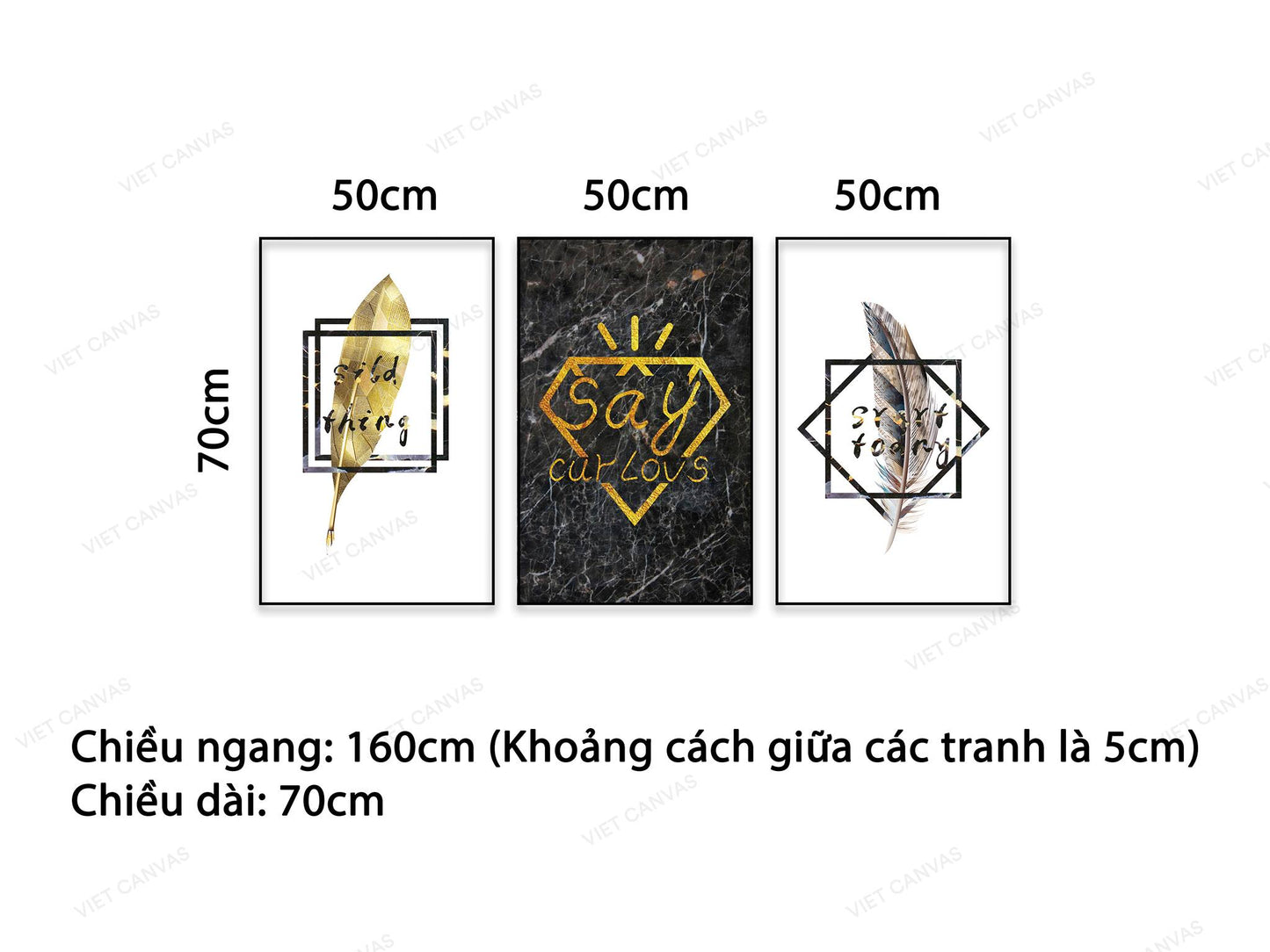 Bộ 3 Tranh Chiếc Lông Vũ Quotes - NT521