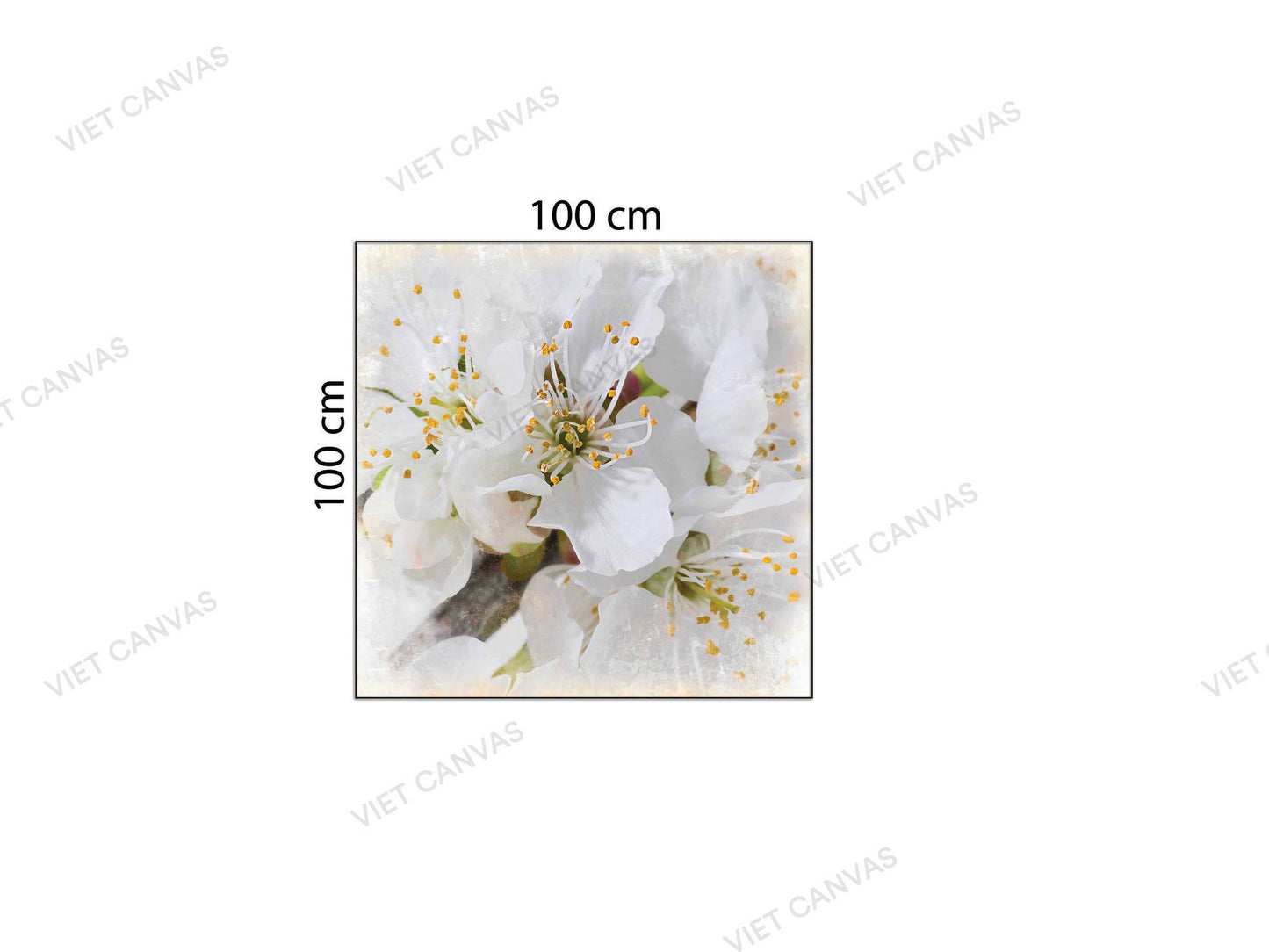 Tranh Hoa Nhài Jasmine - NT493