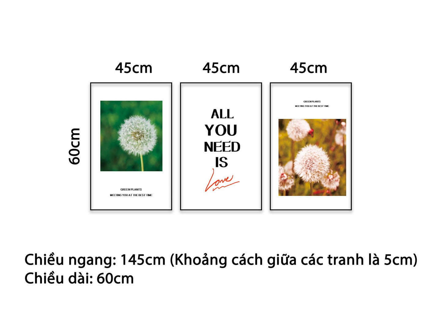 Bộ 3 Tranh Bồ Công Anh Và Quotes All You Need Is Love - NT373