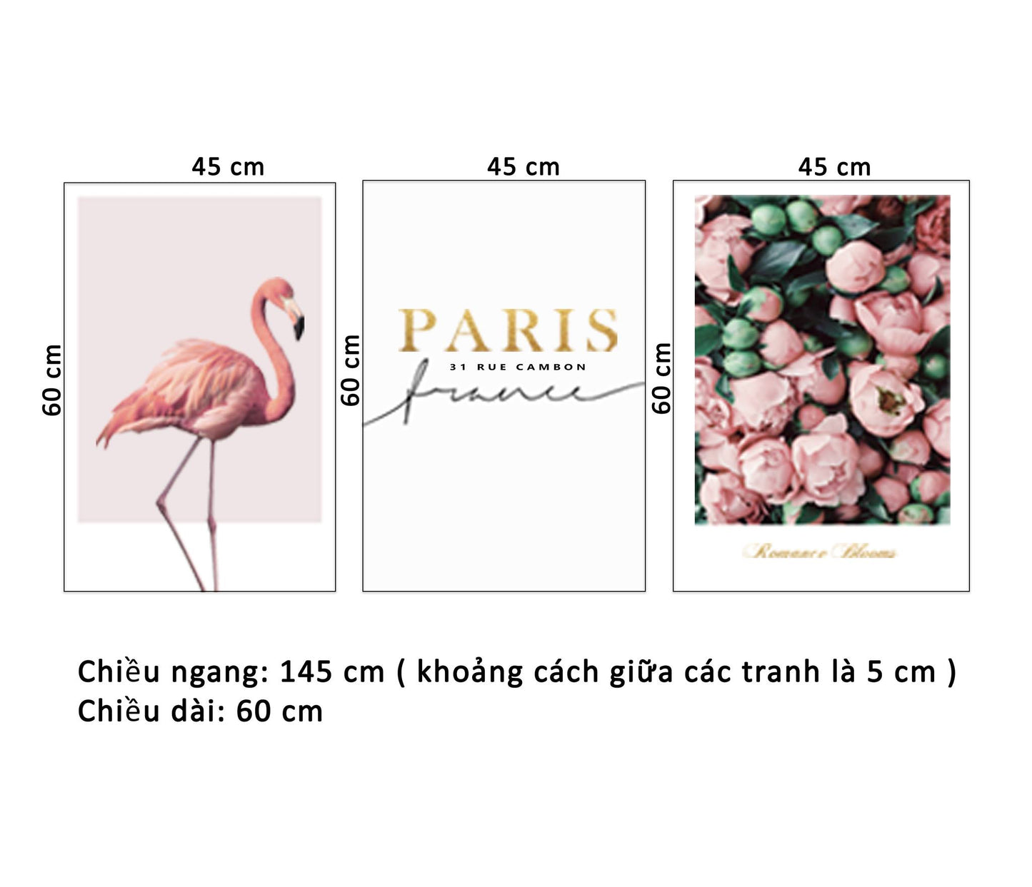 Bộ 3 Tranh Hoa, Hồng Hạc Và Quotes - HD912