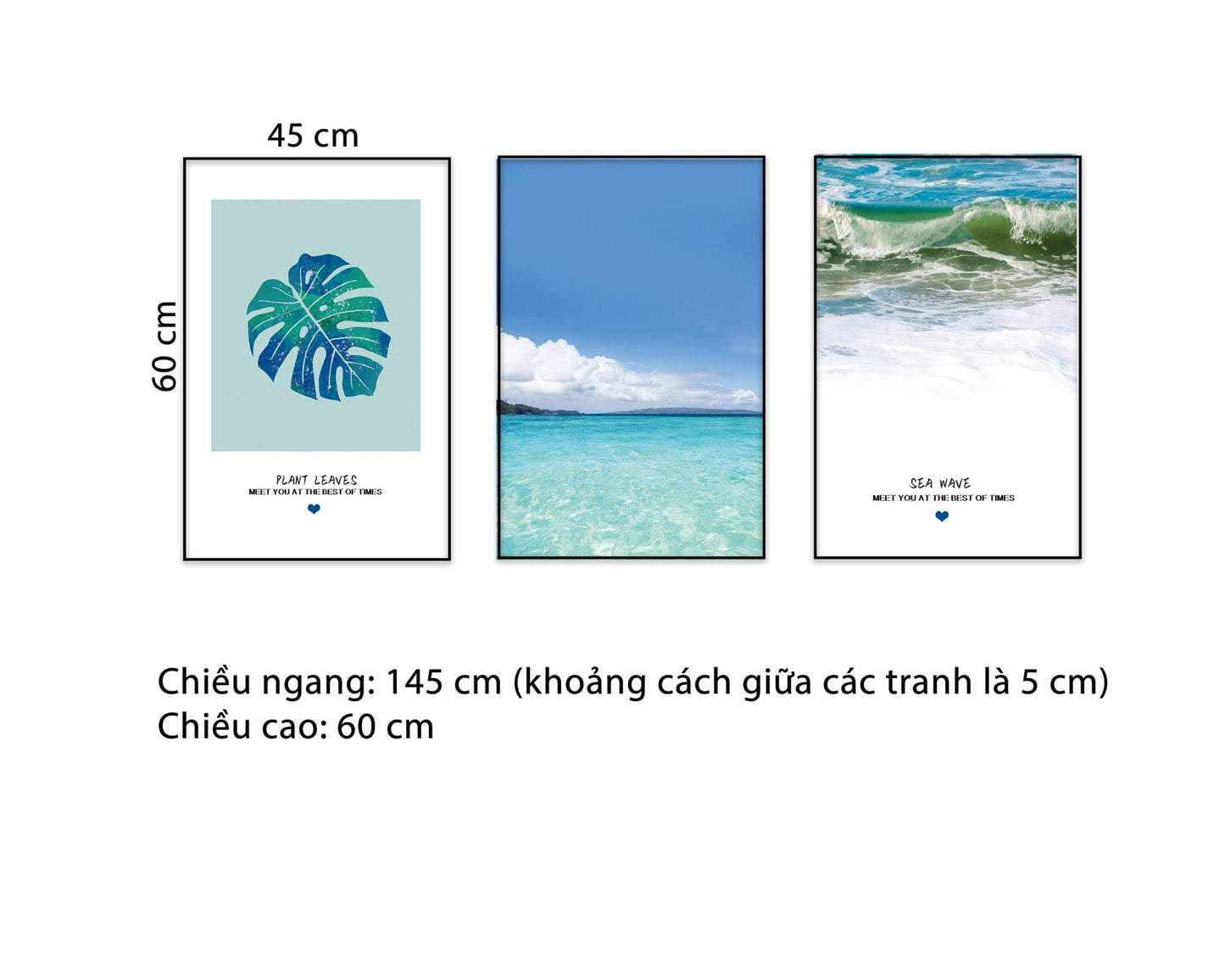 Bộ 3 Tranh Biển Trời Bao La Và Lá Cây - NT624