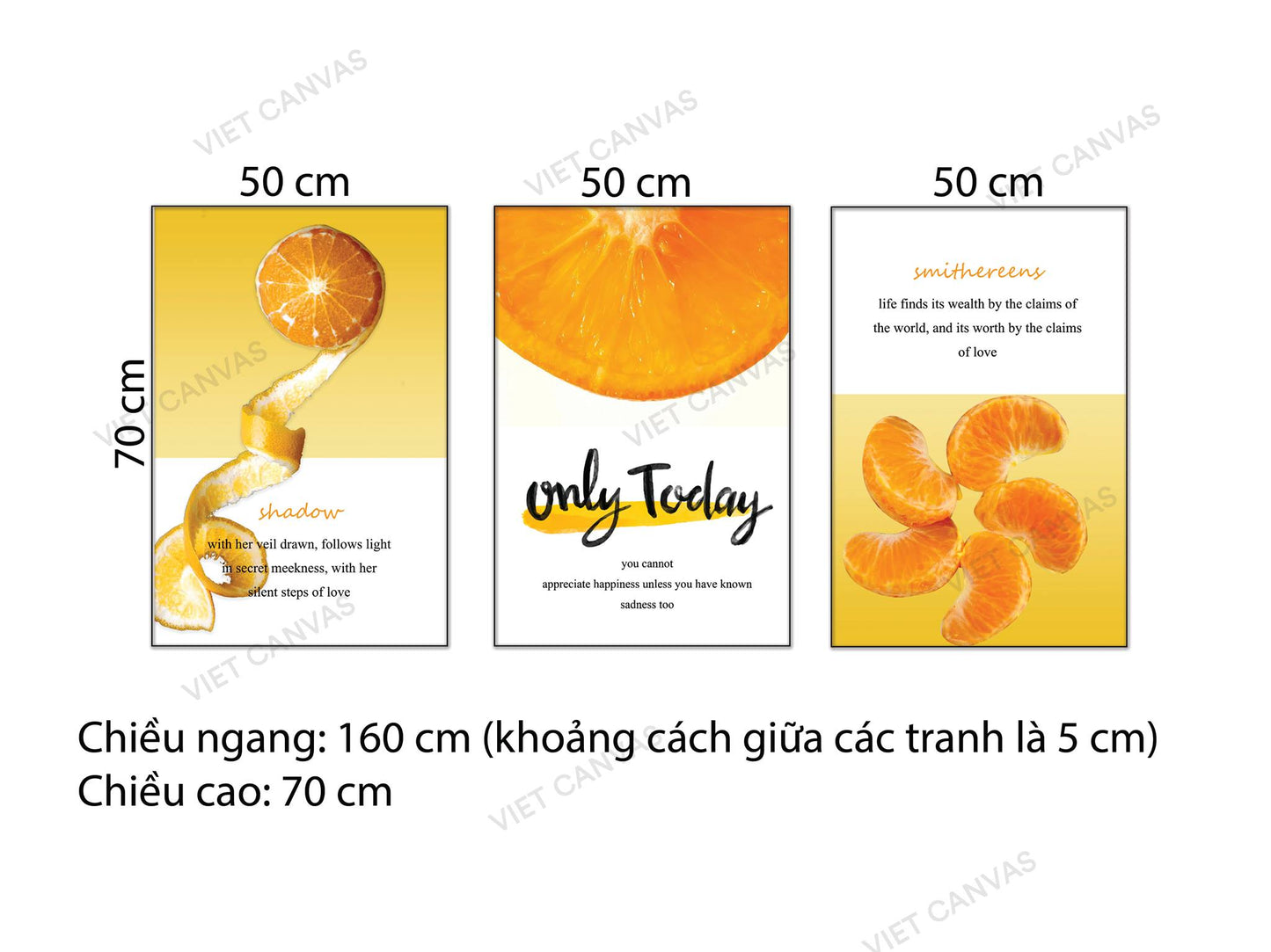 Bộ 3 Tranh Quả Cam Tươi Mát - NT642