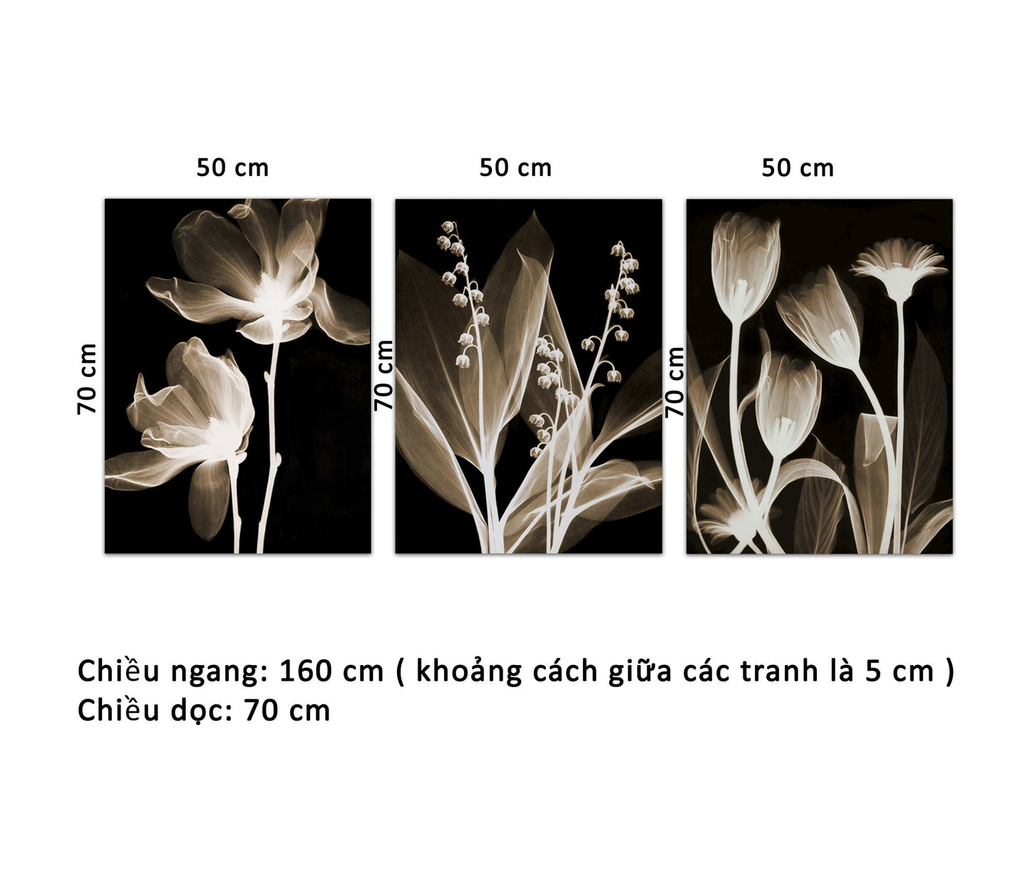 Bộ 3 Tranh Những Cánh Hoa Nghệ Thuật - HD920