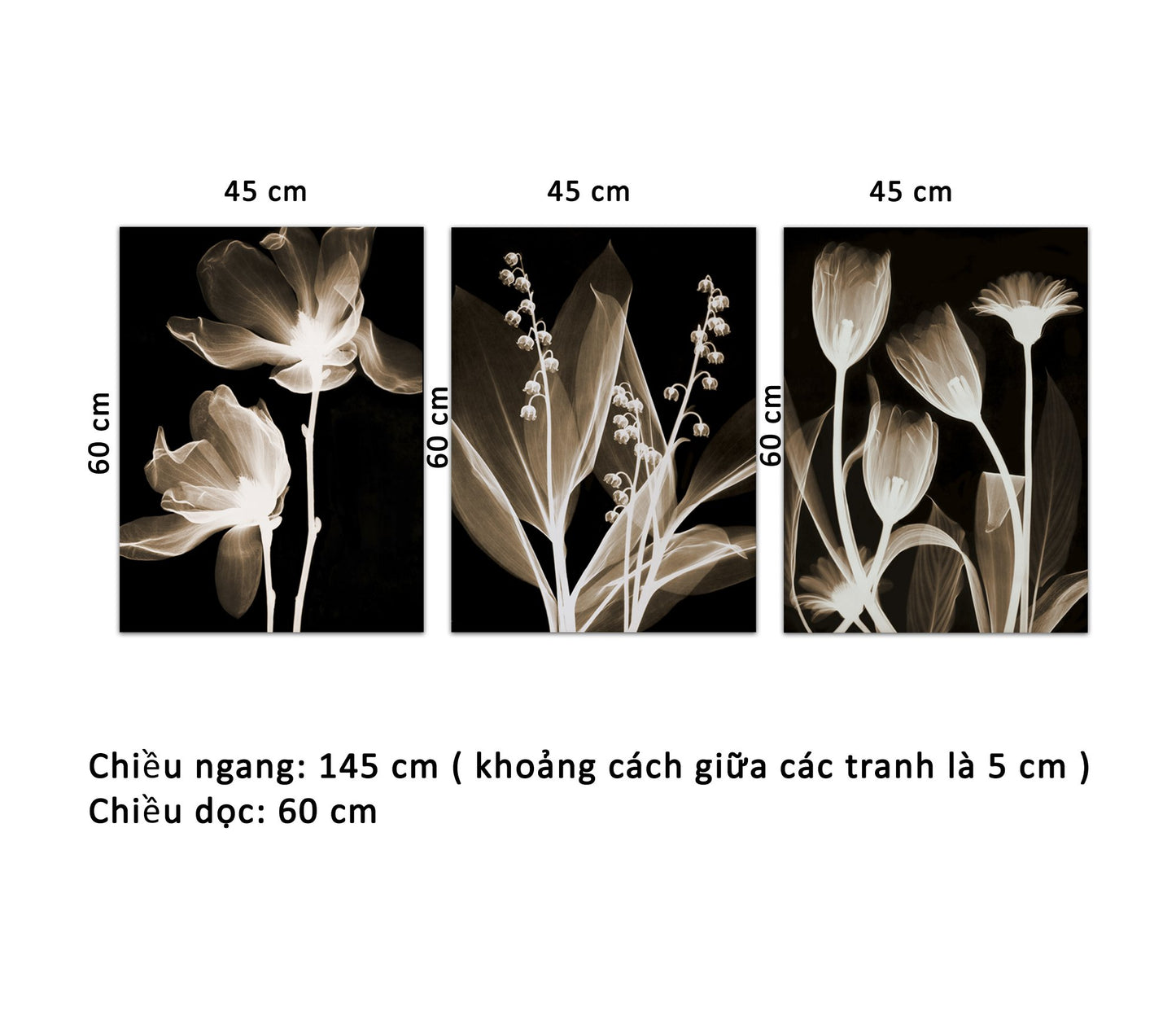 Bộ 3 Tranh Những Cánh Hoa Nghệ Thuật - HD920