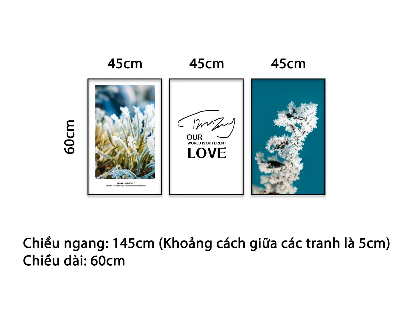 Bộ 3 Tranh Ngắm Tuyết Đầu Mùa Và Quotes - NT344
