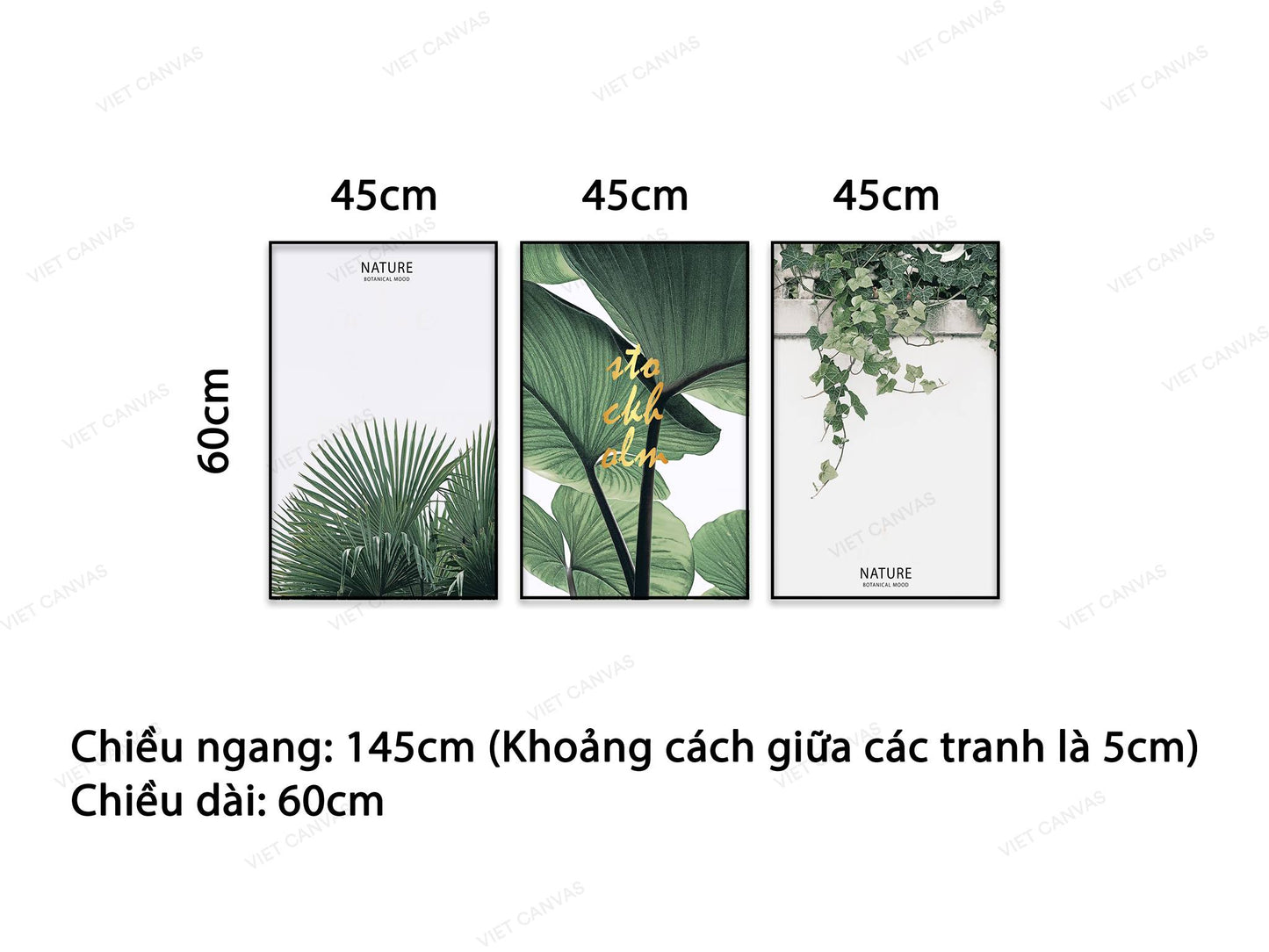 Bộ 3 Tranh Lá Cây Xanh - NT679