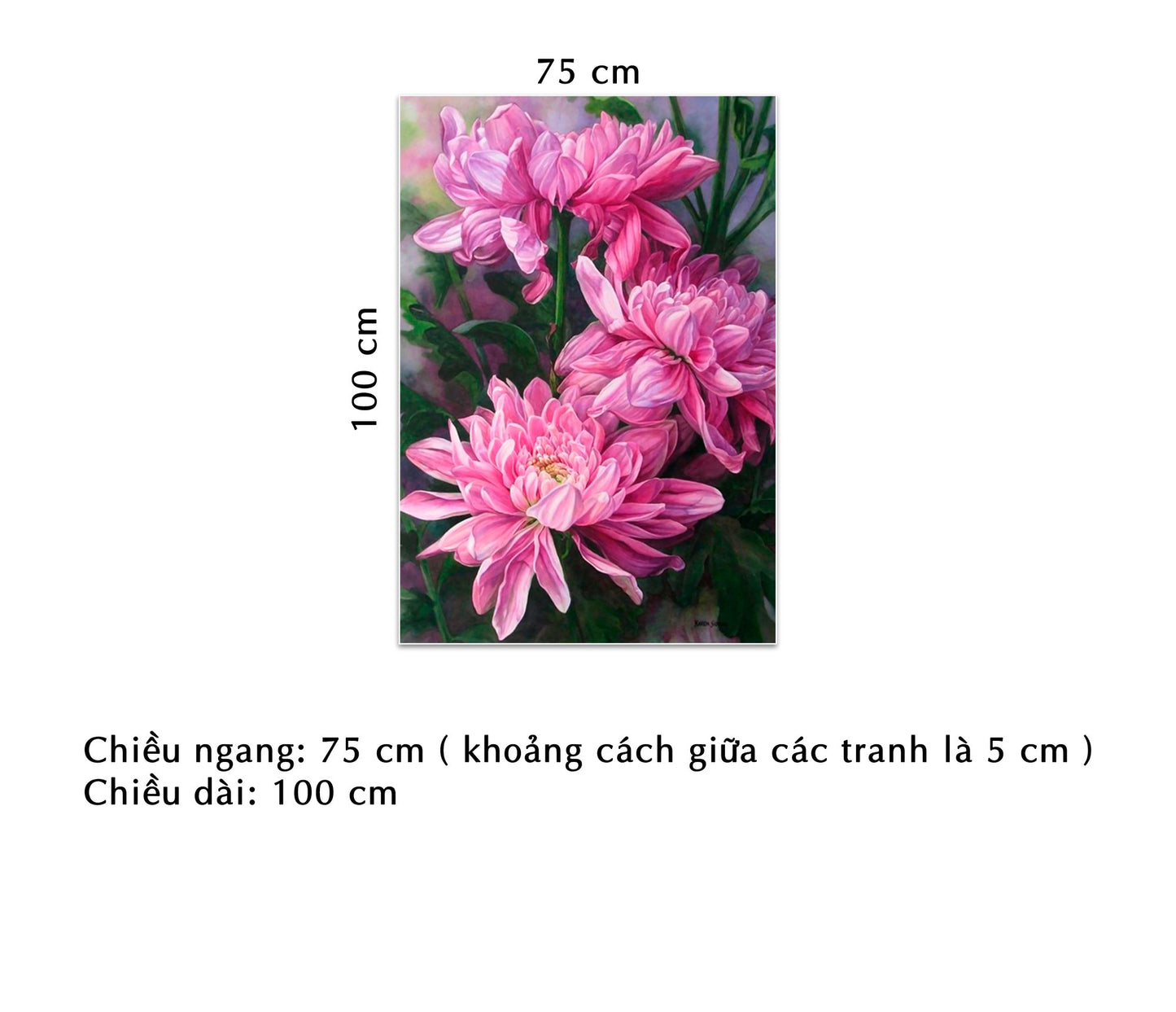 Tranh Bông Cúc Hồng - HD962