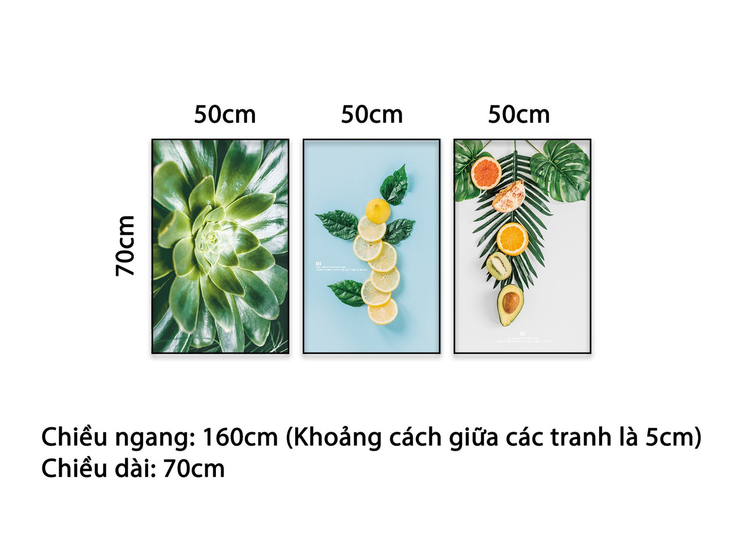 Bộ 3 Tranh Hoa Lá Quả Tươi Mát - NT391