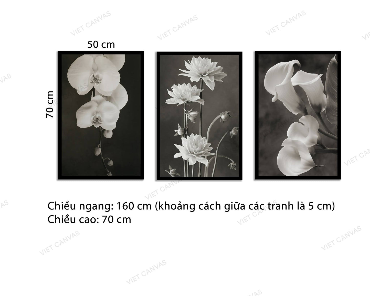 Bộ 3 Tranh Loài Hoa Thuần Khiết - NT640
