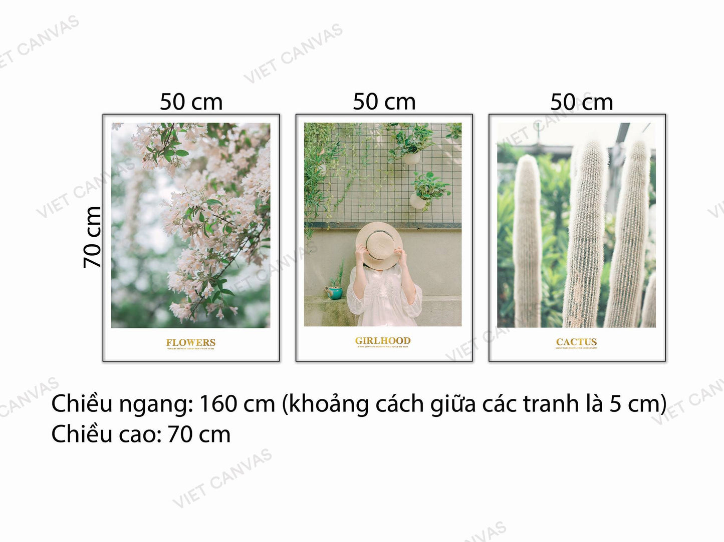 Bộ 3 Tranh Cô Gái, Hoa Và Lá - NT701