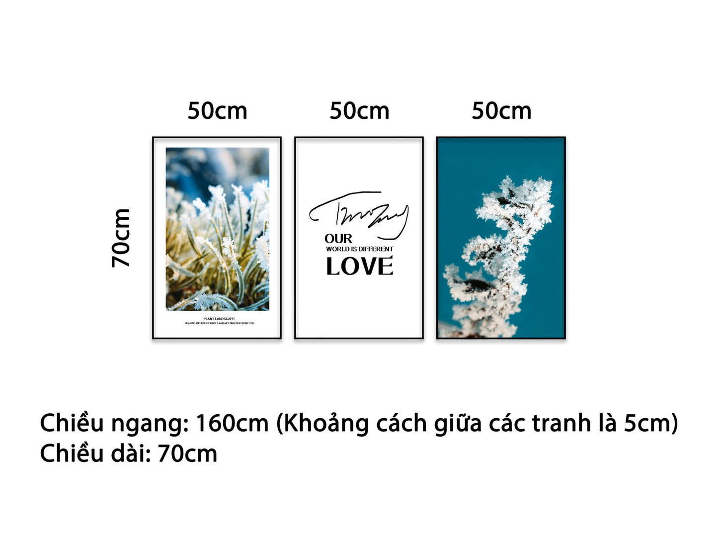 Bộ 3 Tranh Ngắm Tuyết Đầu Mùa Và Quotes - NT344
