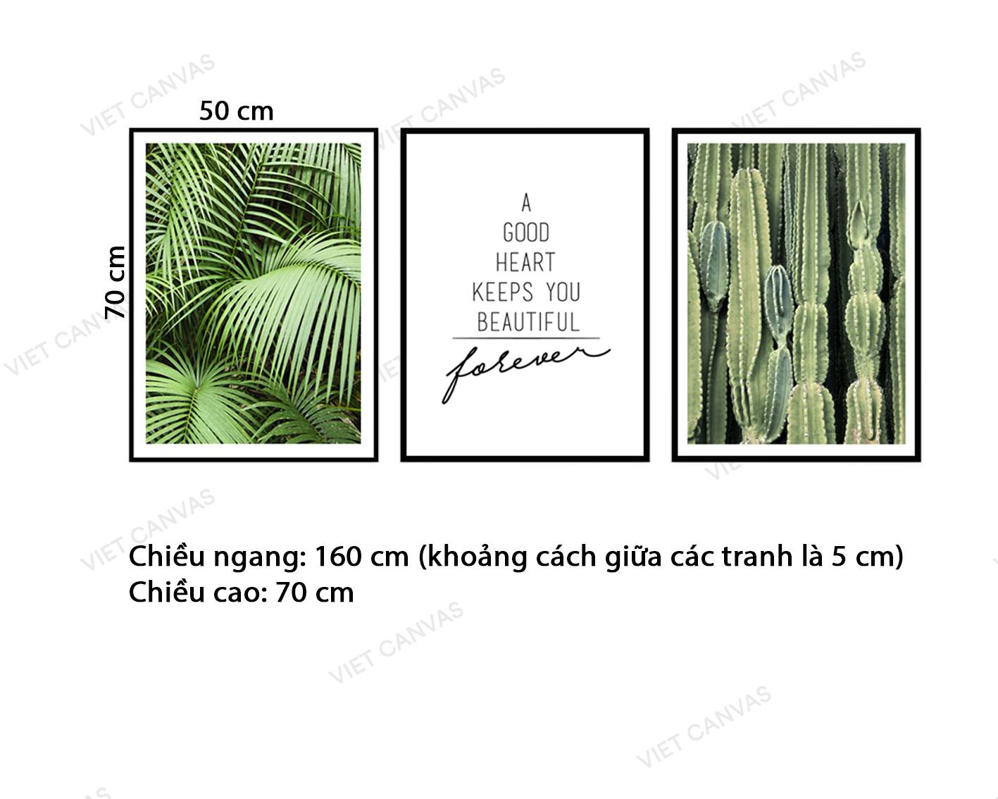 Bộ 3 Tranh Lá Cây Xanh, Xương Rồng Và Quotes A Heart Good Keeps You Beautiful - NT180