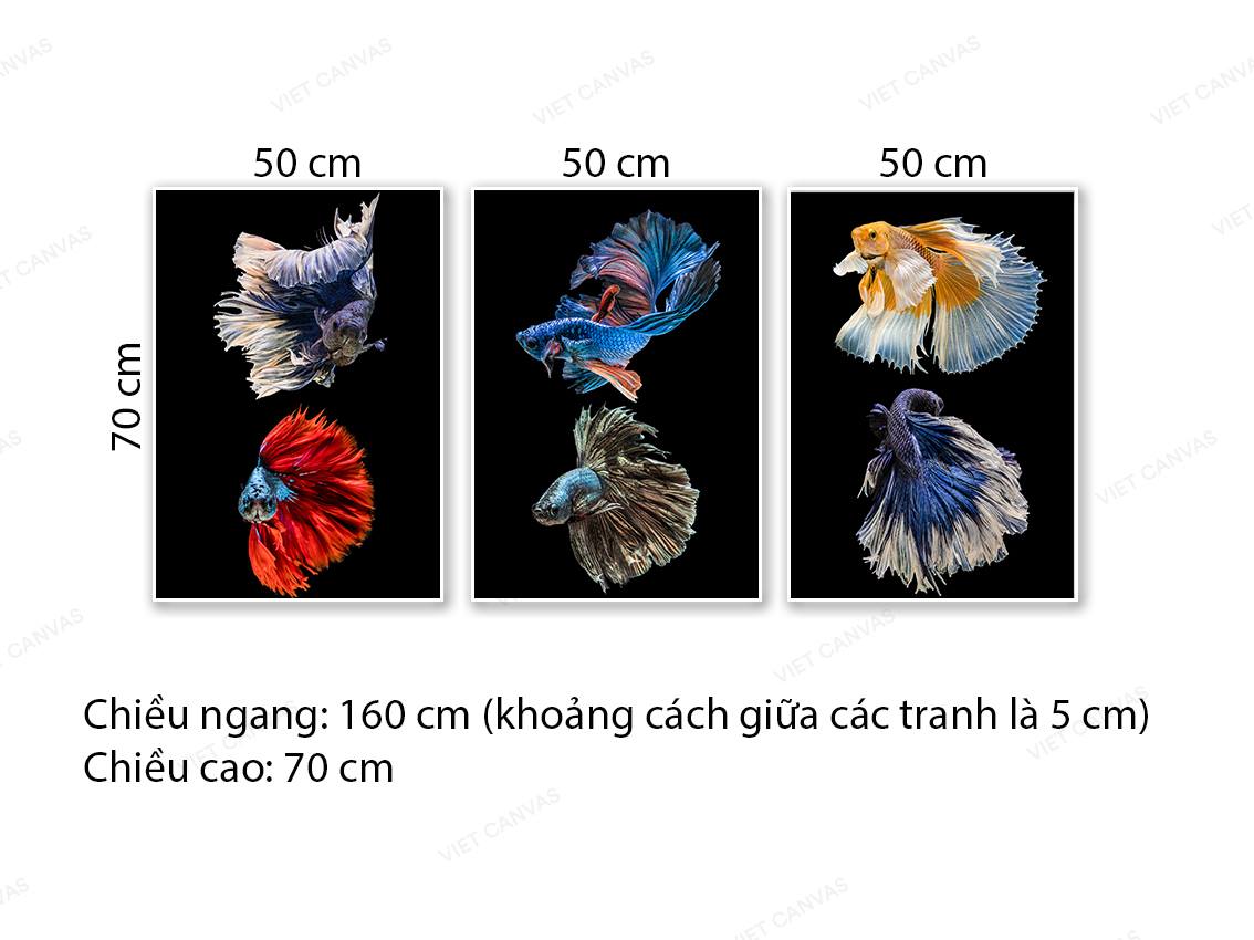 Bộ 3 Tranh Sắc Màu Loài Cá Cảnh - NT739