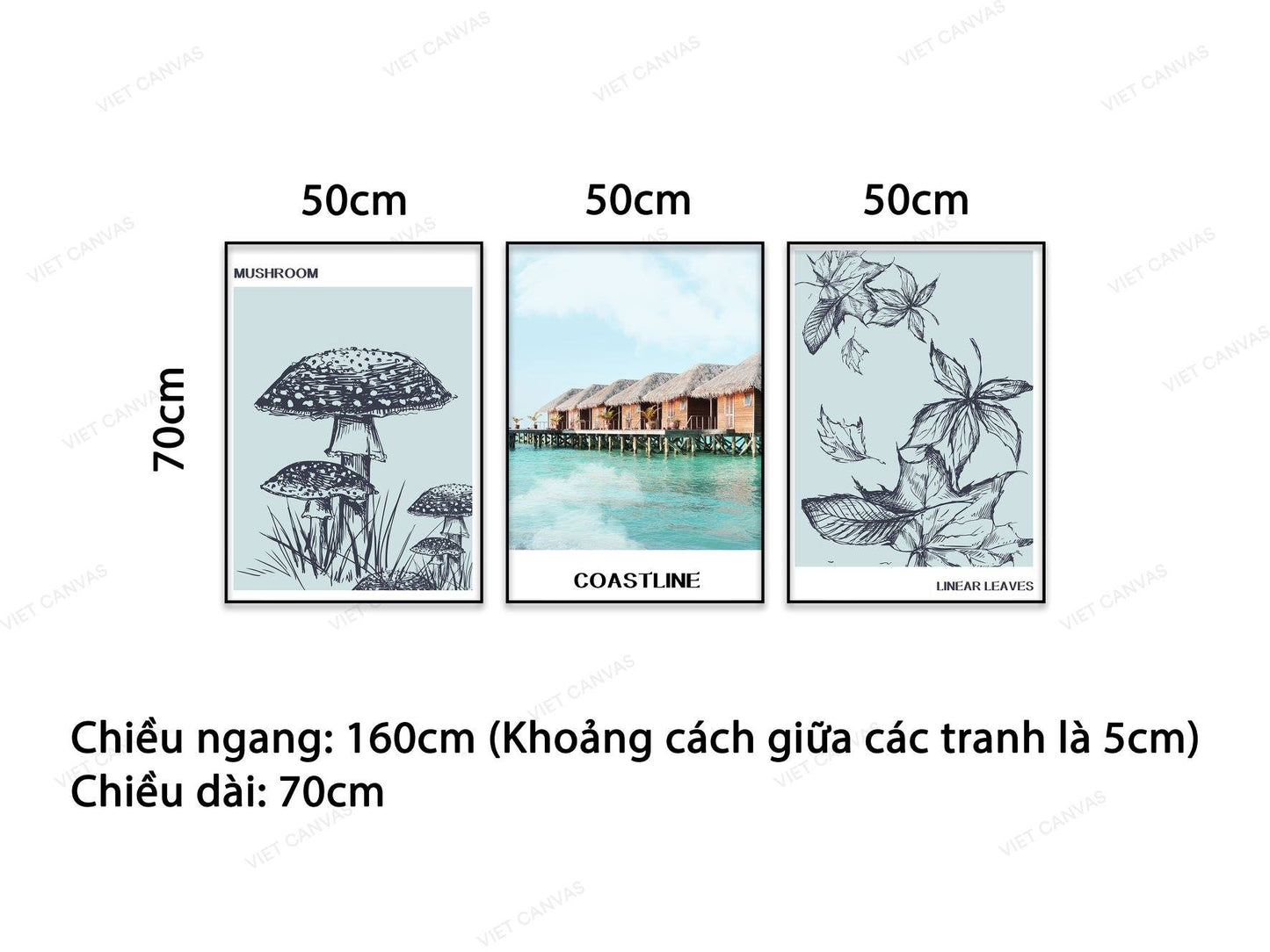 Bộ 3 Tranh Vẻ Đẹp Giản Dị Bên Bờ Biển, Cây Nấm Và Lá Cây - NT804
