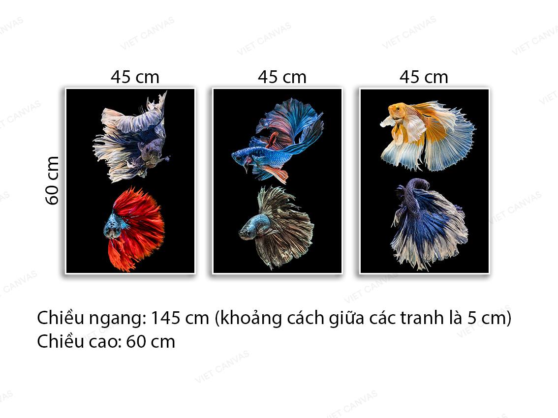 Bộ 3 Tranh Sắc Màu Loài Cá Cảnh - NT739