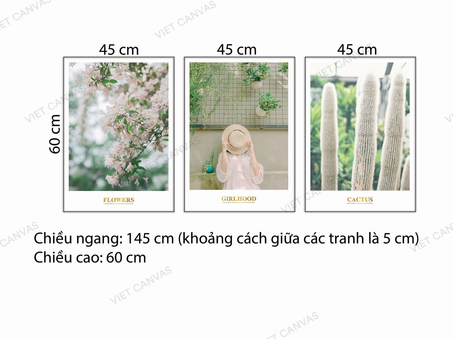 Bộ 3 Tranh Cô Gái, Hoa Và Lá - NT701