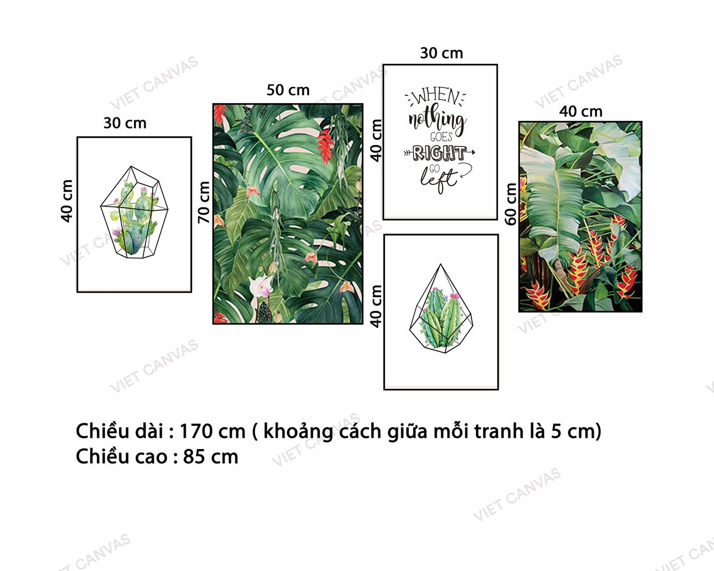 Bộ 5 Tranh Lá Cây Xanh Và Quotes - NT628