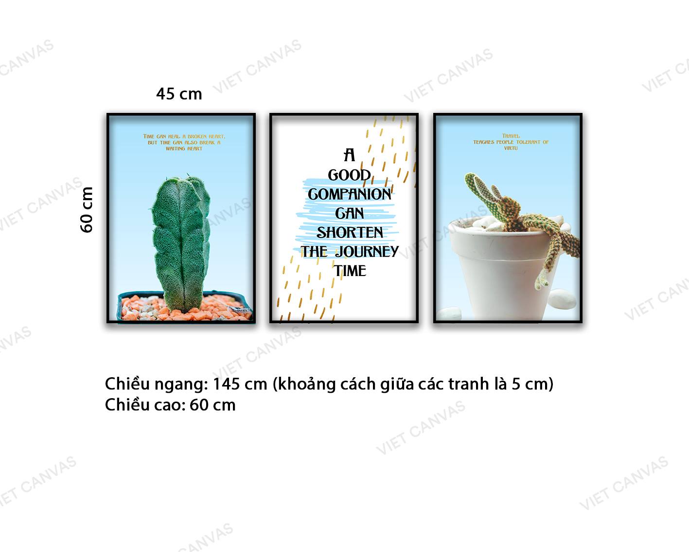 Bộ 3 Tranh Xương Rồng Và Quotes - NT846