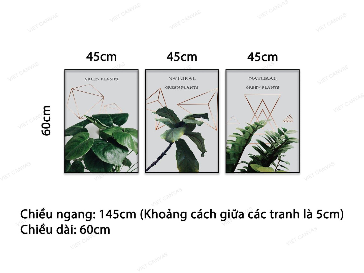 Bộ 3 Tranh Lá Cây Xanh - NT852