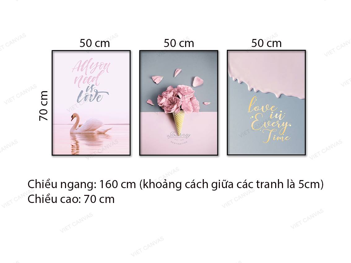 Bộ 3 Tranh Thiên Nga, Cánh Hoa Và Quotes - NT741