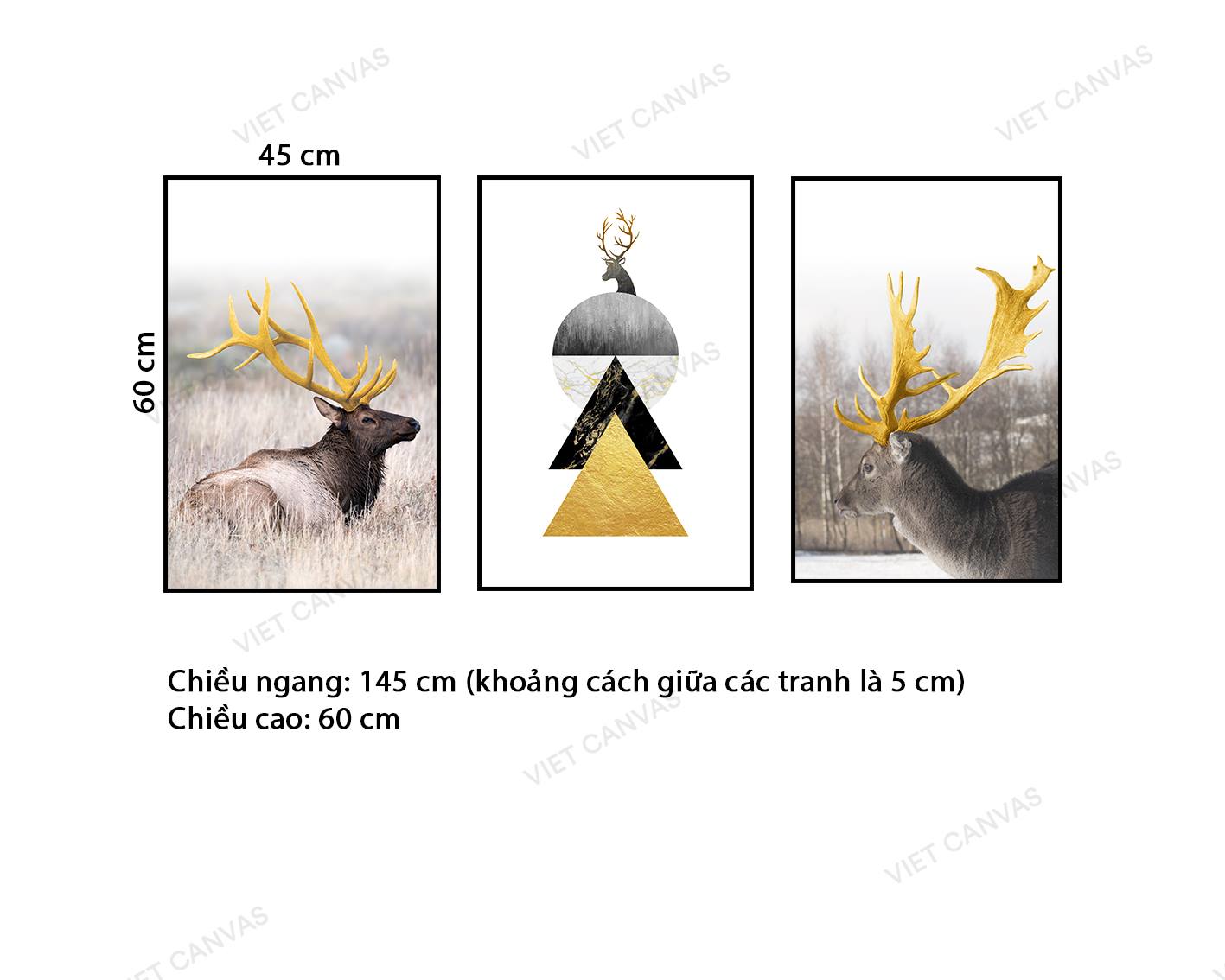Bộ 3 Tranh Những Chiếc Sừng Của Loài Hươu Nai - NT532
