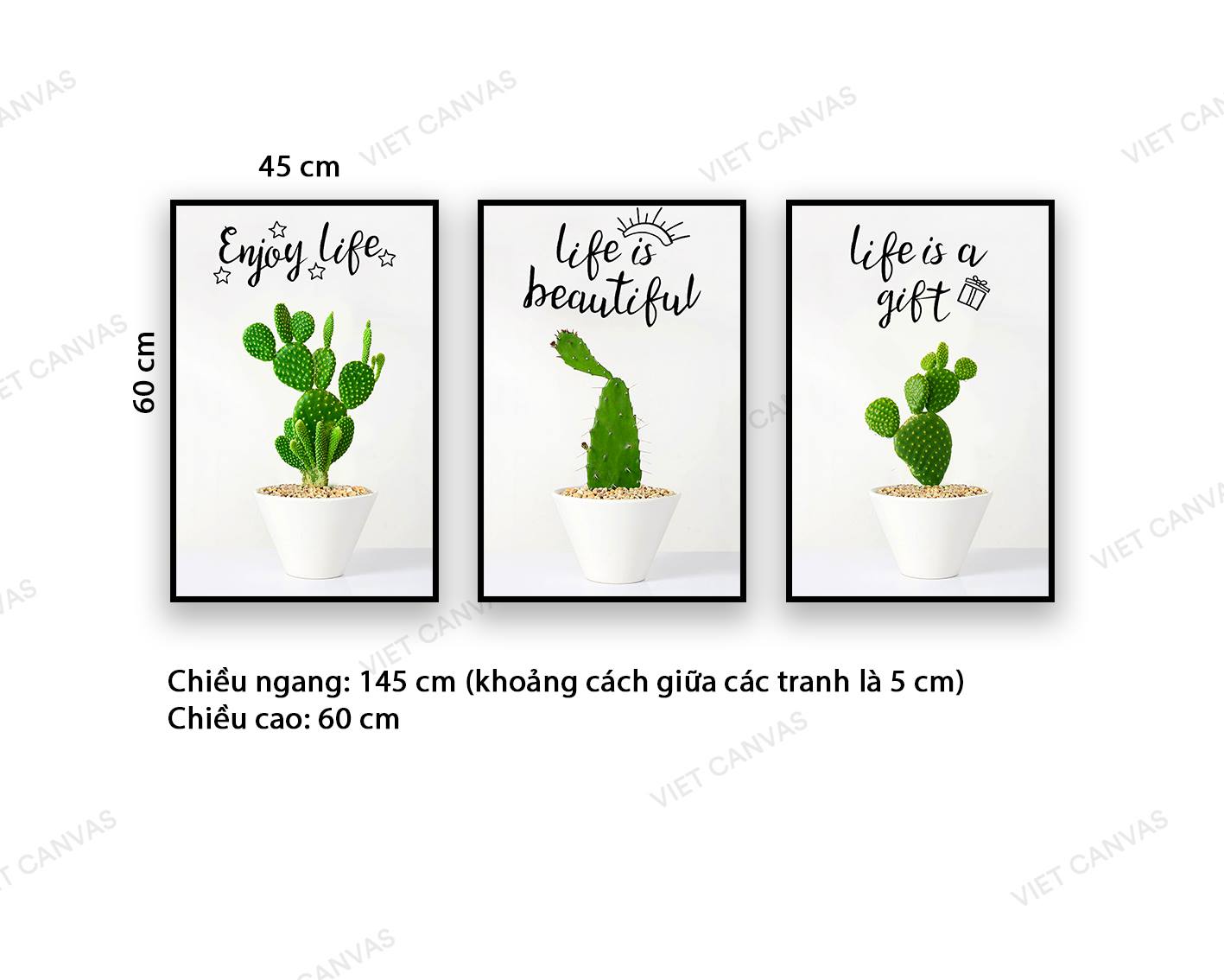 Bộ 3 Tranh Lọ Xương Rồng Xanh - NT675